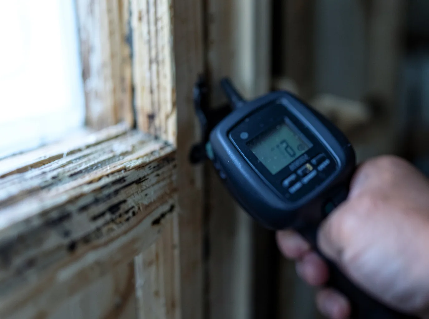 Moisture Inspection And Documentation in Canterbury, NH